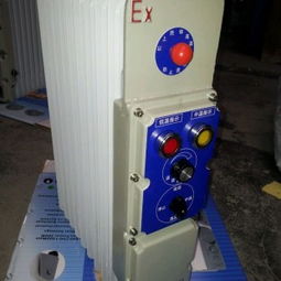 防爆电热移动式油汀取暖器 以乐清市飞立防爆电器厂为例，解析优质供应商选择与价格考量