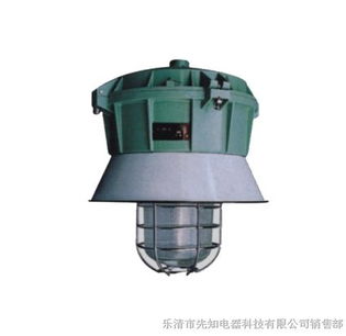 确保安全与耐用 探析XZ BFD修车厂防爆防腐灯与E型增安型防爆防腐灯的重要性