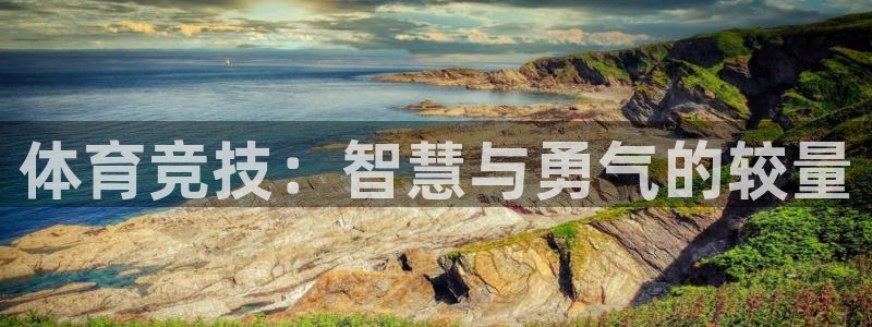 top1体育App注册：体育竞技：智慧与勇气的较量