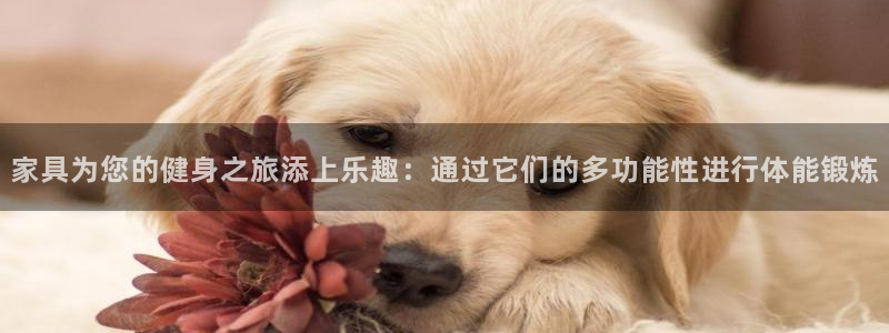 top1体育官网：家具为您的健身之旅添上乐趣：通过它们的多功能性进行体能锻炼