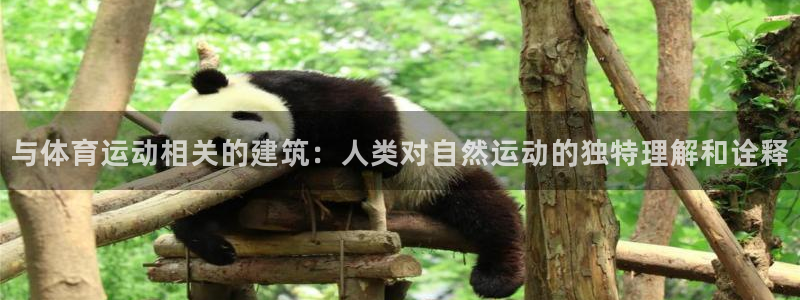 Top1体育平台入口：与体育运动相关的建筑：人类对自然运动的独特理解和诠释