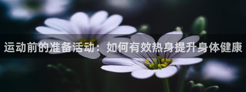 top1体育App注册：运动前的准备活动：如何有效热身提升身体健康