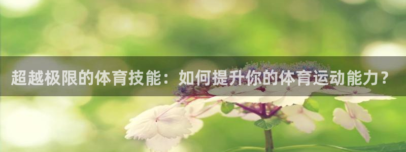 Top1体育是什么软件：超越极限的体育技能：如何提升你的体育运动能力？