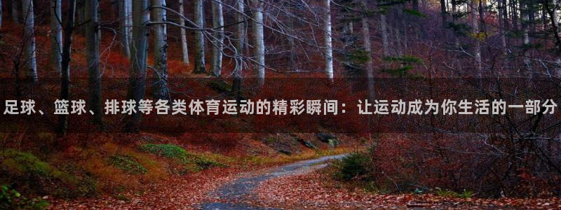 top1体育pg：足球、篮球、排球等各类体育运动的精彩瞬间：让运动成为你生活的一部分